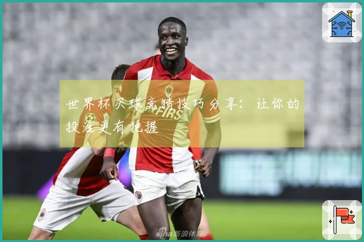 世界杯买球竞猜技巧分享：让你的投注更有把握