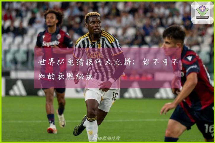 世界杯竞猜技巧大比拼：你不可不知的获胜秘诀