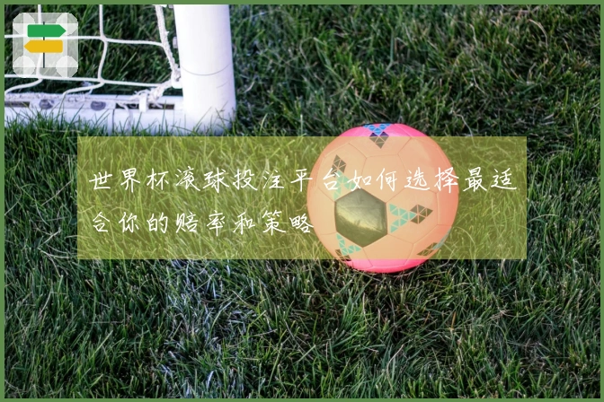 世界杯滚球投注平台如何选择最适合你的赔率和策略