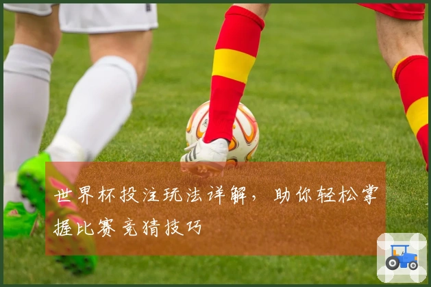 世界杯投注玩法详解，助你轻松掌握比赛竞猜技巧