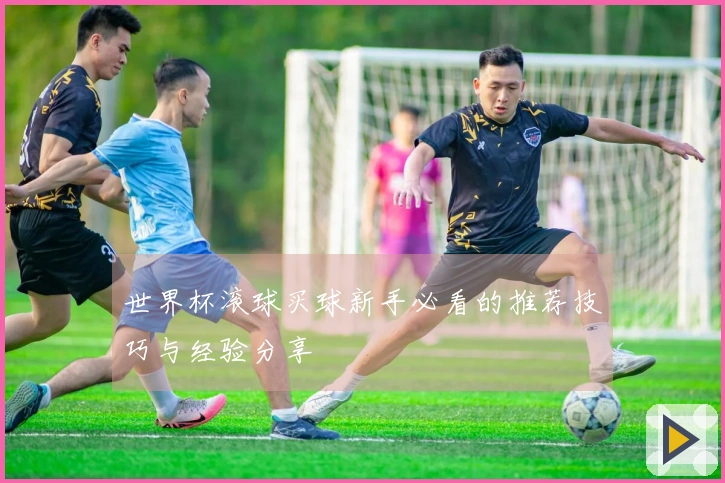 世界杯滚球买球新手必看的推荐技巧与经验分享