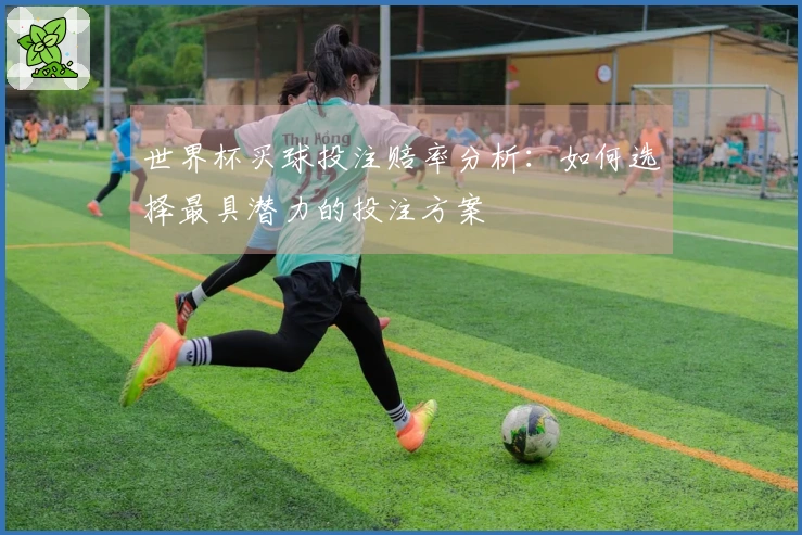 世界杯买球投注赔率分析：如何选择最具潜力的投注方案