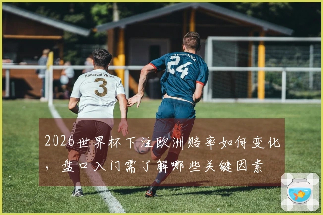 2026世界杯下注欧洲赔率如何变化，盘口入门需了解哪些关键因素