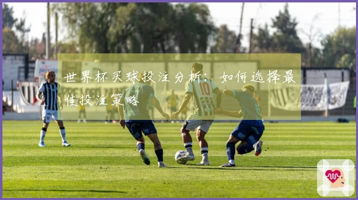 世界杯买球投注分析：如何选择最佳投注策略