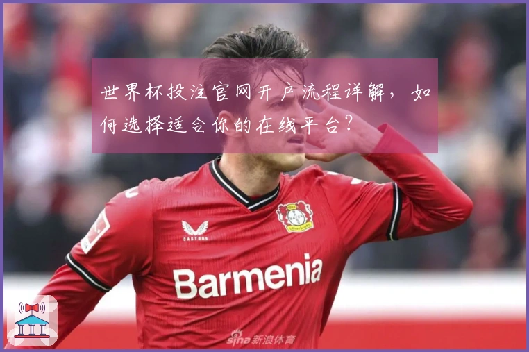 世界杯投注官网开户流程详解，如何选择适合你的在线平台？