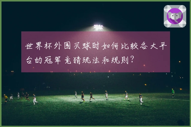 世界杯外围买球时如何比较各大平台的冠军竞猜玩法和规则？