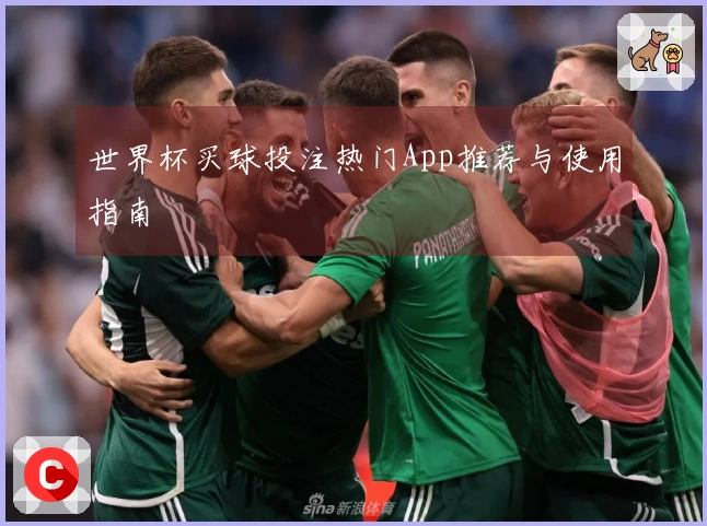世界杯买球投注热门App推荐与使用指南