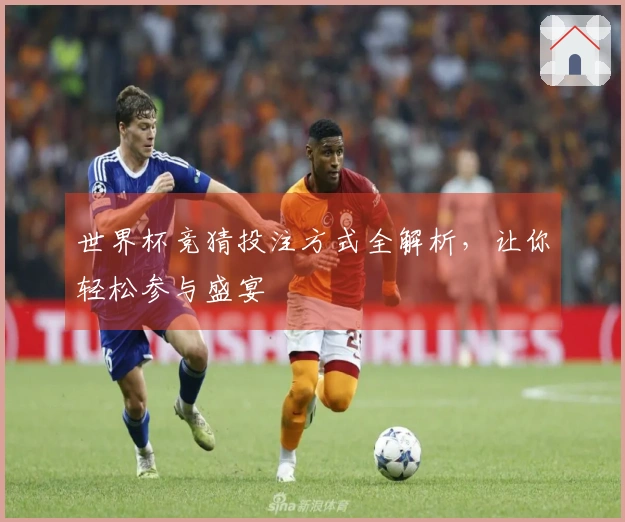 世界杯竞猜投注方式全解析，让你轻松参与盛宴
